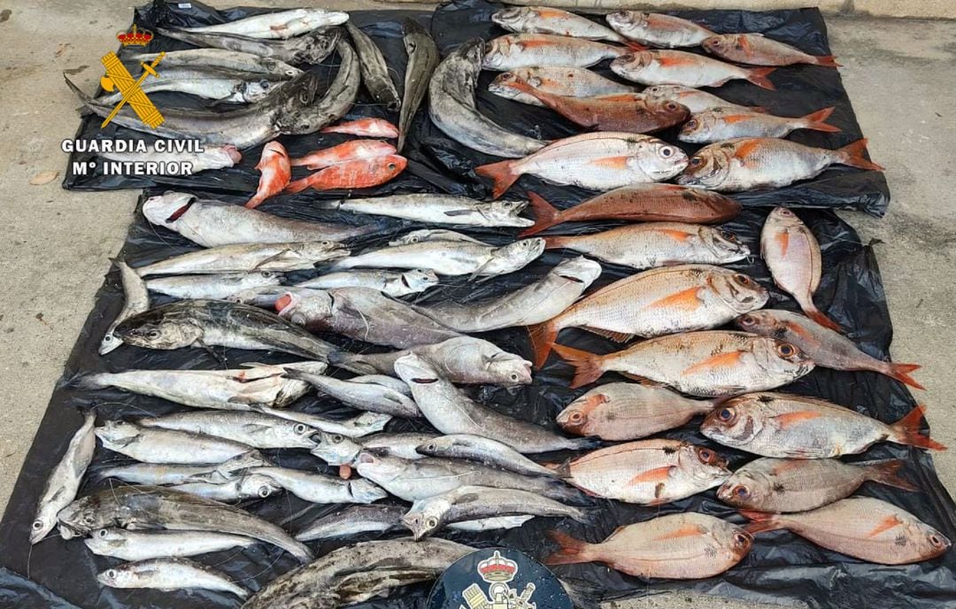 Los 55 kg de pescado capturados