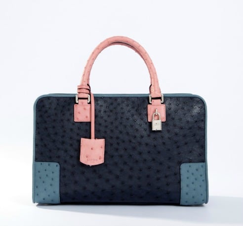 Bolsos Amazona de Loewe