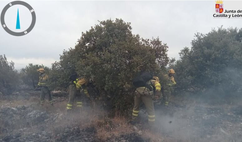 Imágenes proporcionadas por la Junta de Castilla y León