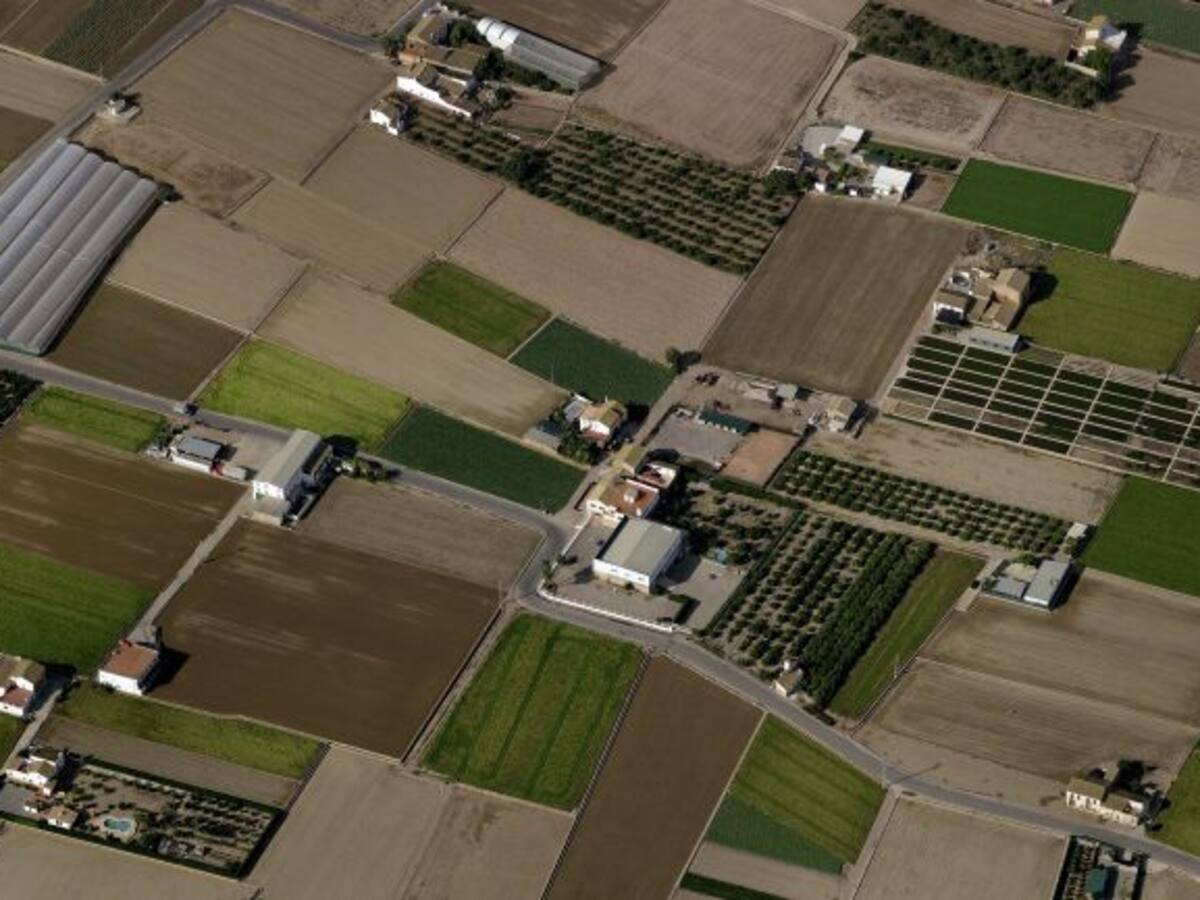 La llavor (13/01/2018)