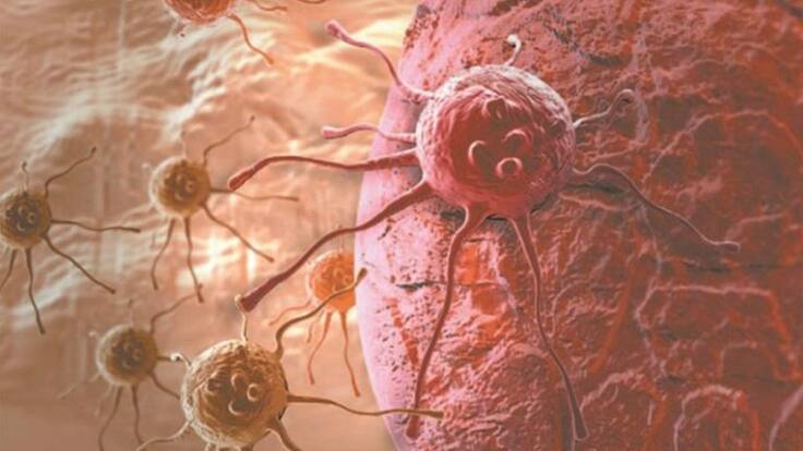 Entrevista a Carlos Camps