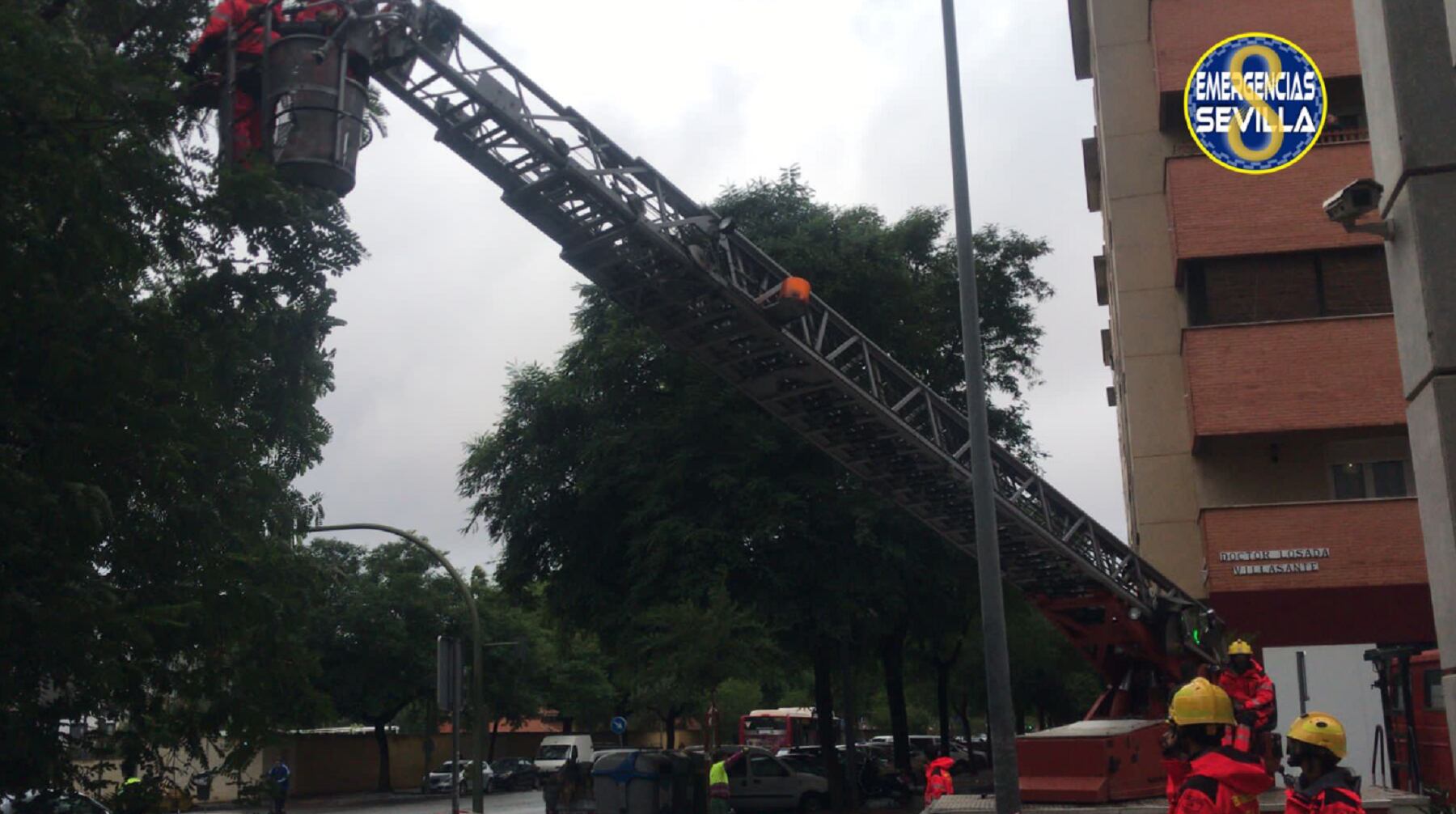 Intervención de los bomberos y de la Policía Local en Ramón Carande/ Emergencias Sevilla