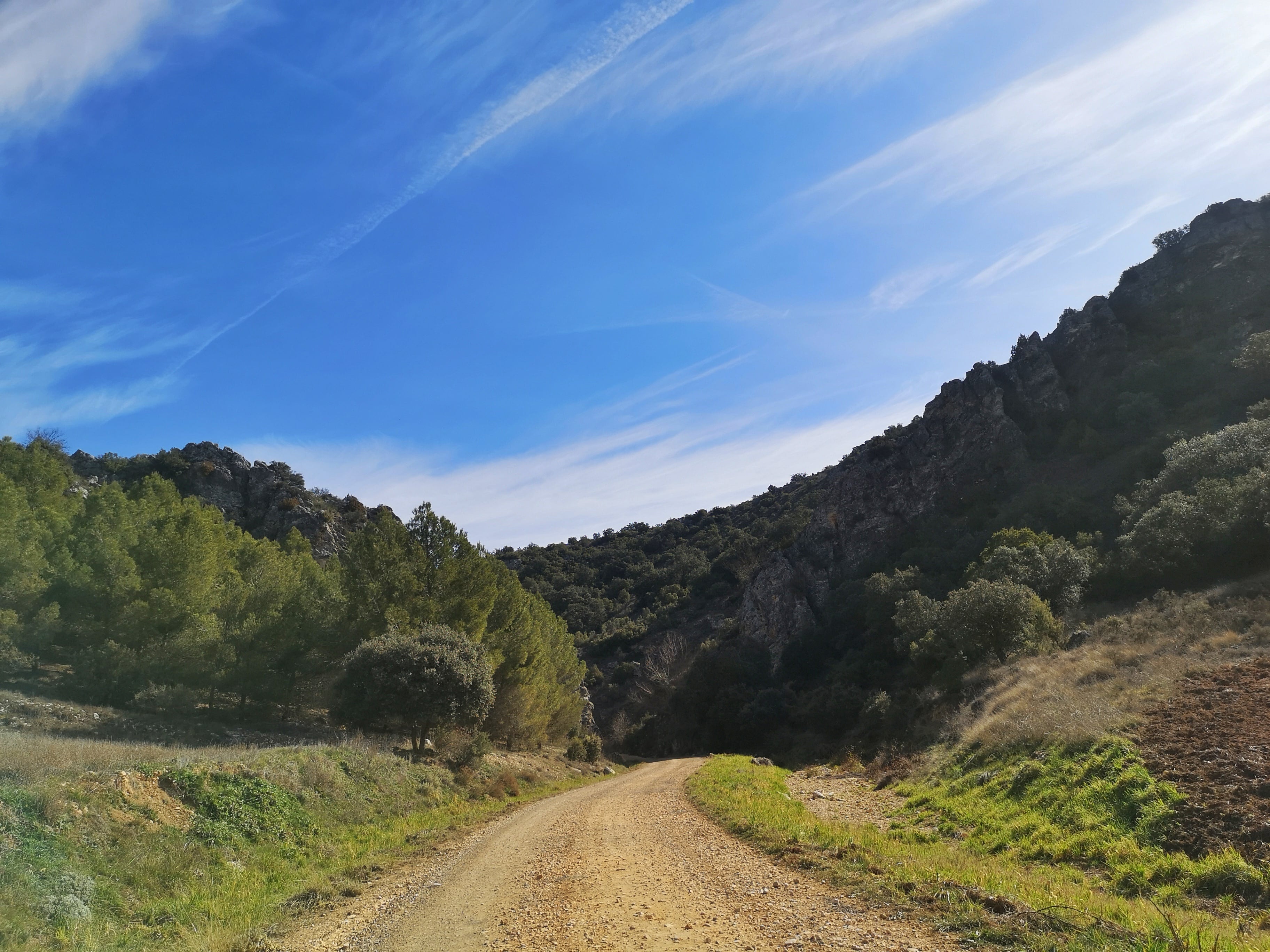 Paisaje en el entorno de la Fuente de las Sabinas.