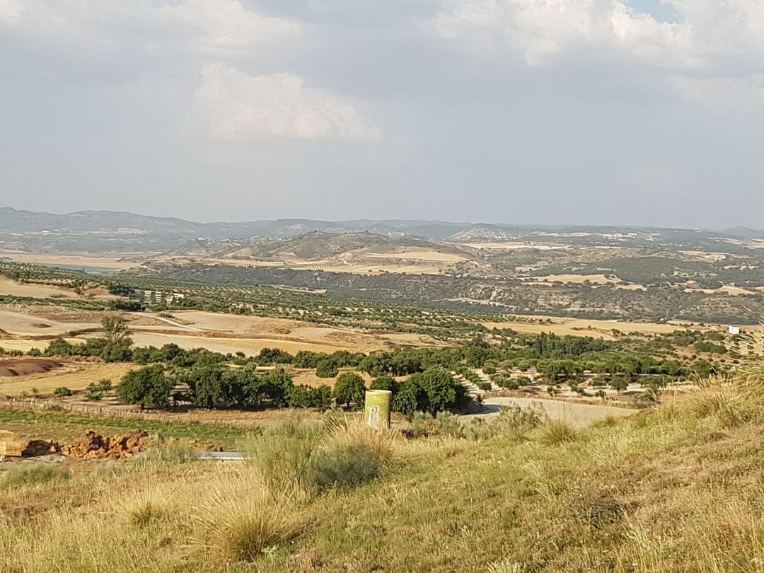 Al fondo Vega del Tajo en Almoguera y Mazuecos