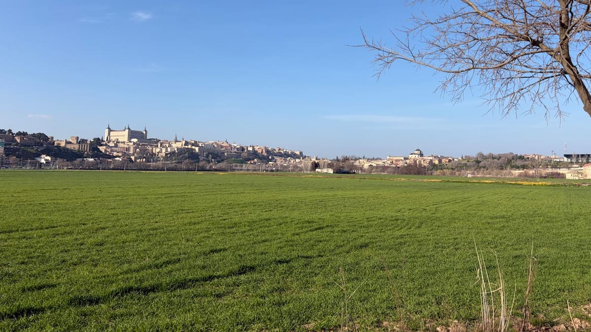 Nómada del viento: Indicios de primavera (03/03/2026)