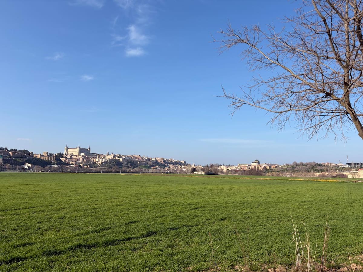 Nómada del viento: Indicios de primavera (03/03/2026)