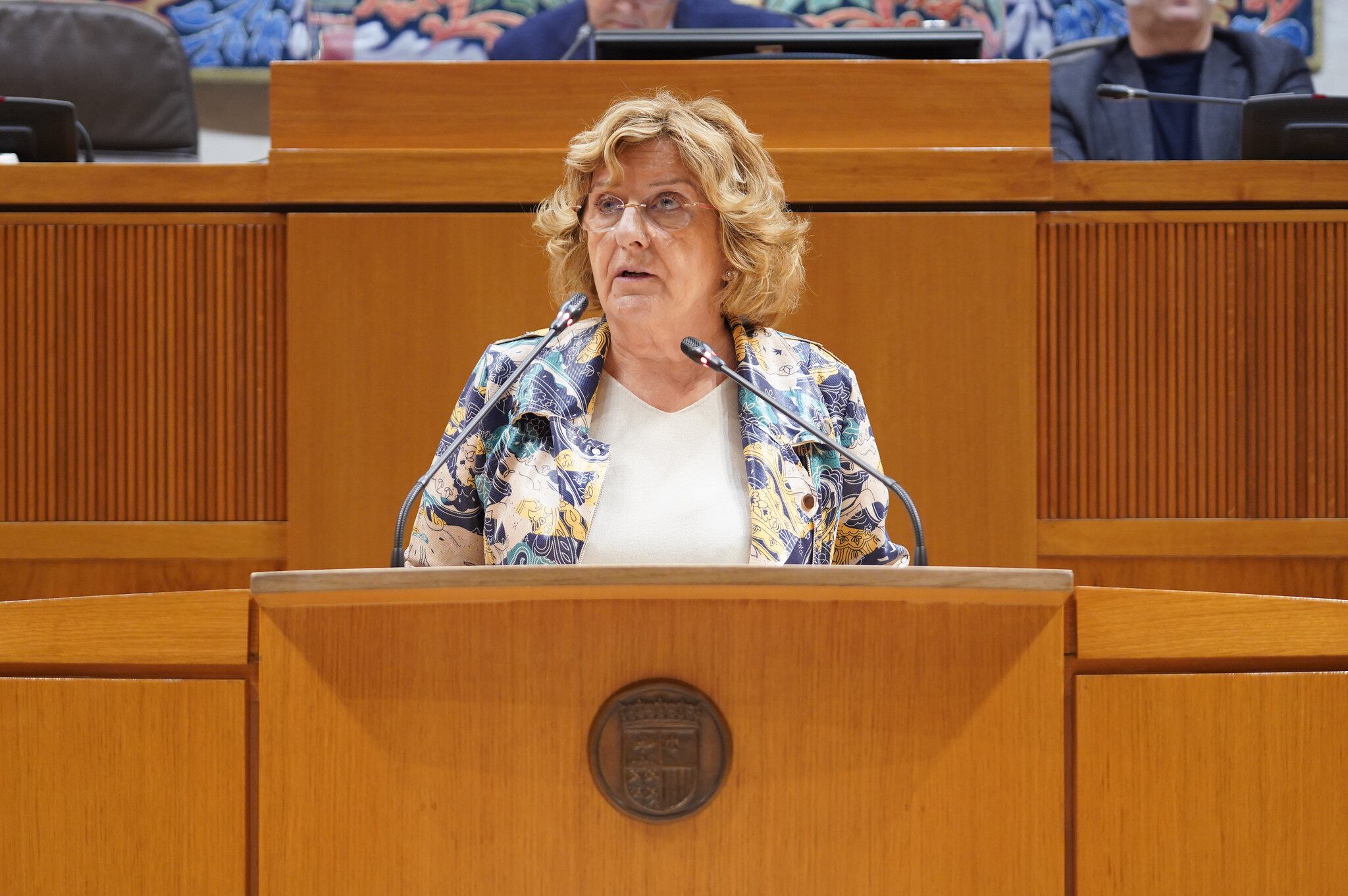 Victoria Broto en las Cortes de Aragón