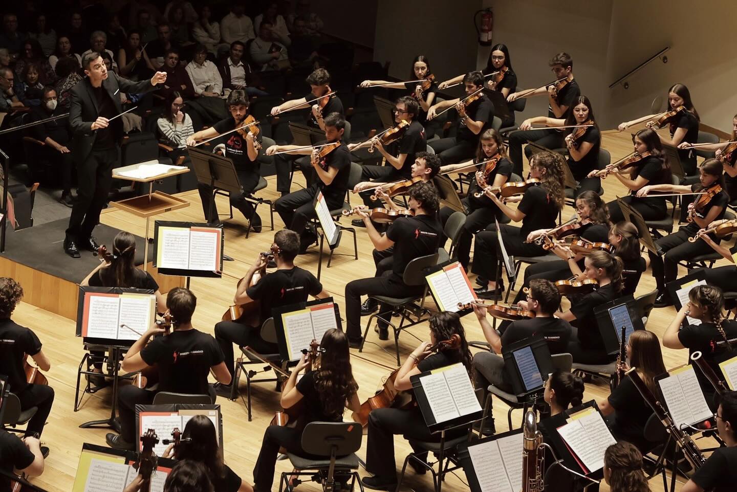 Imagen de un concierto de la orquesta.