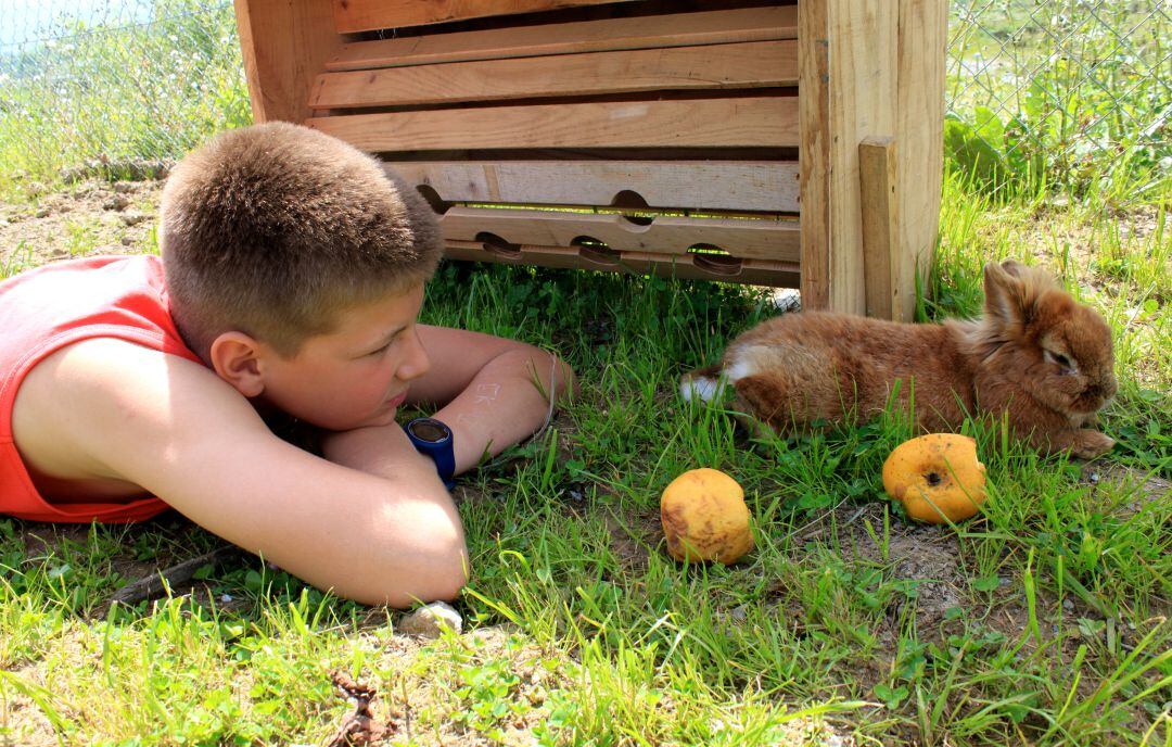 Abereak Kutxa Ekogunean