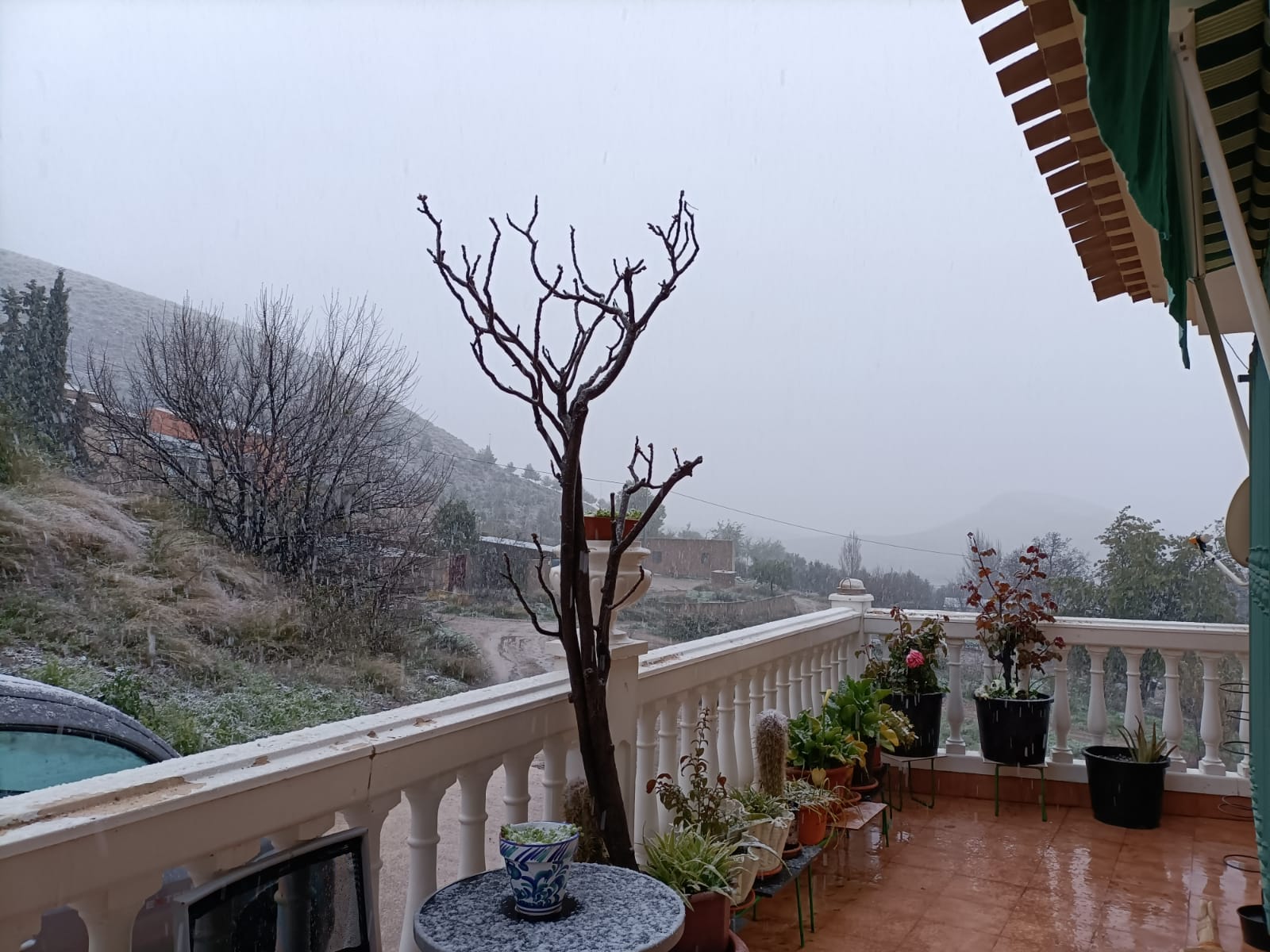 Nieva en Coy