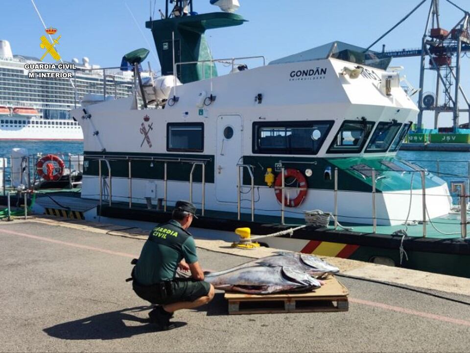 La Guardia Civil intensifica la vigilancia contra la pesca ilegal del atún rojo