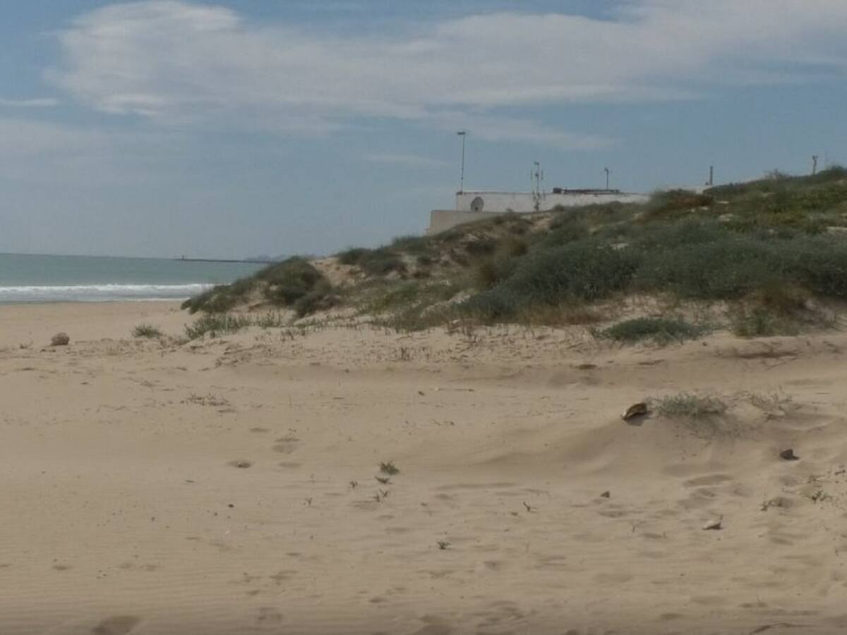 La Federación de Asociaciones Vecinales organiza una campaña de limpieza en La Marina