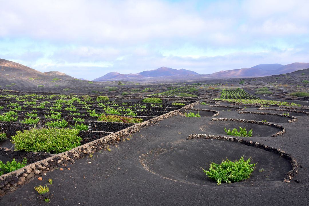 La Geria, en Lanzarote.