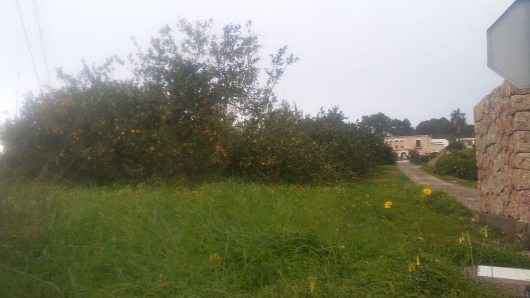 Imagen de un terreno en suelo rústico