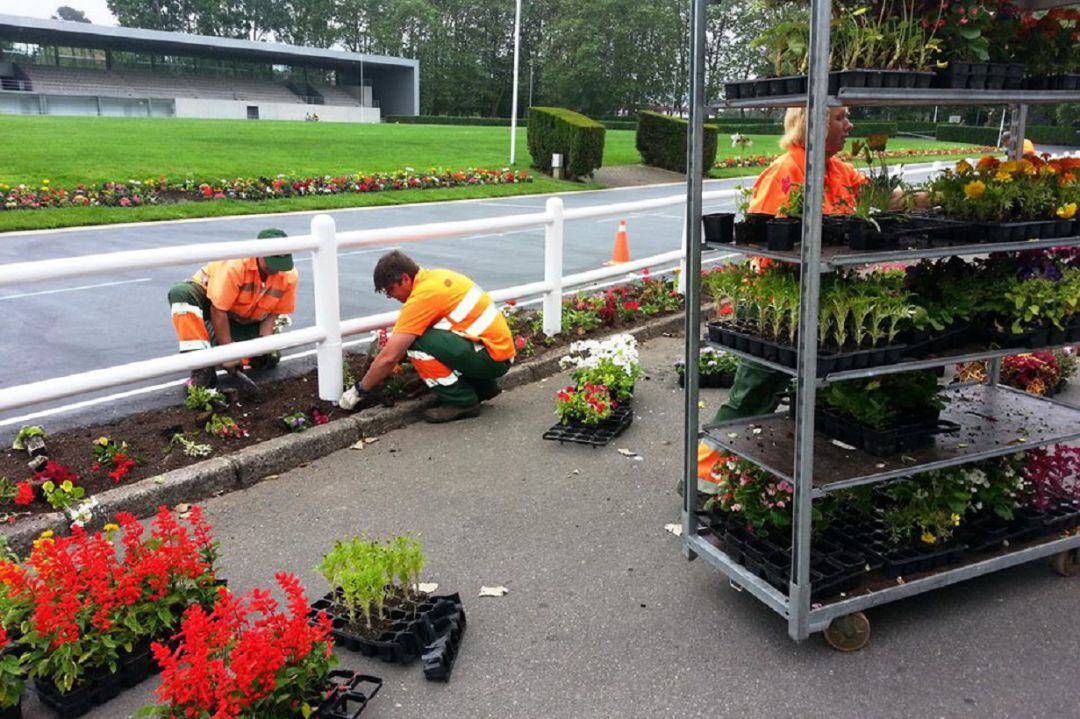 Jardineros de la empresa municipal cambiando las plantas de Las Mestas. 