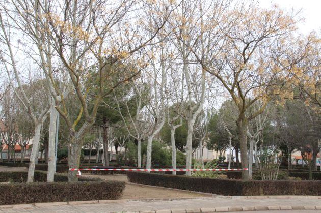 Imagen del Parque acordonado en Alcázar de San Juan