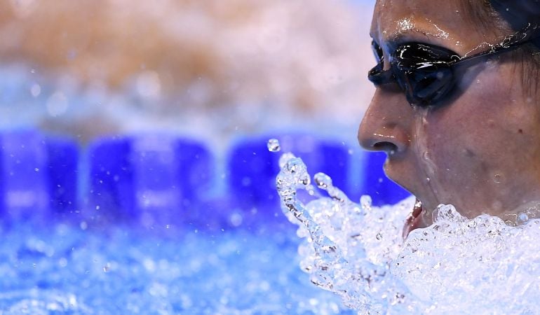 El test definitivo para descubrir cuánta orina hay en cada piscina.