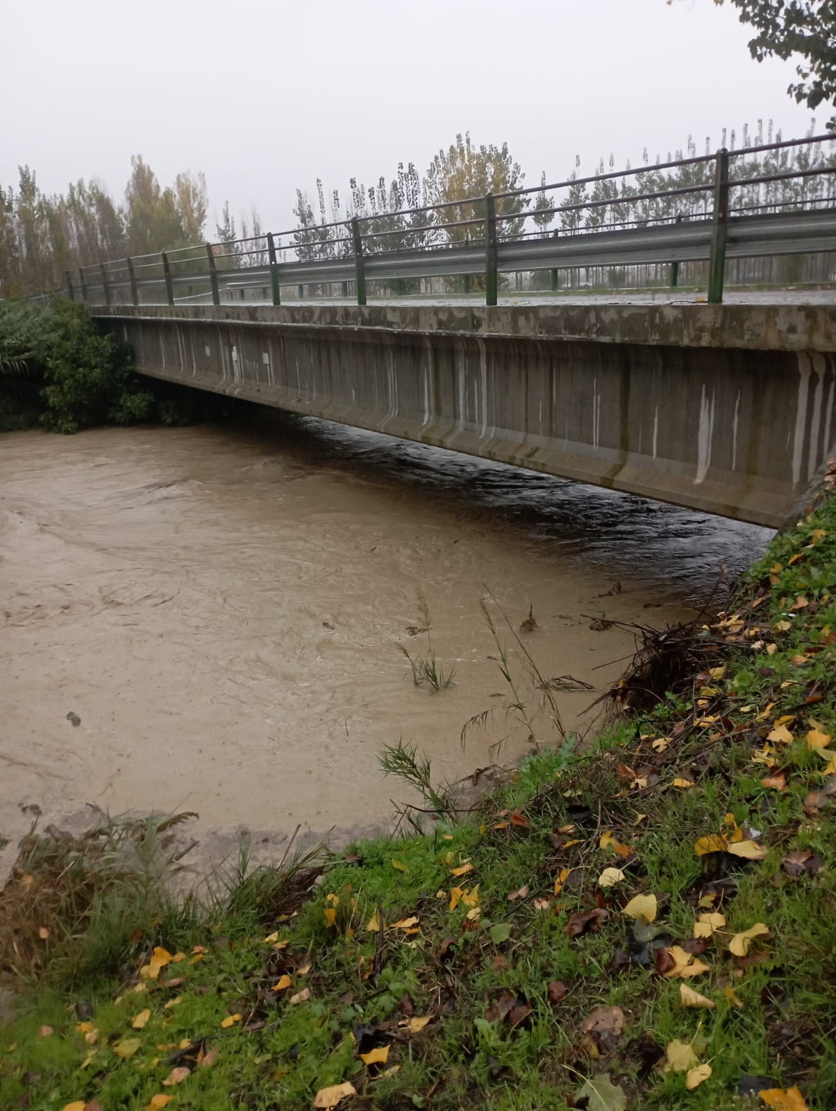 Puente de La Paz en Fuente Vaqueros (Granada) con el río Genil aumentando de caudal por la crecida de arroyos cercanos