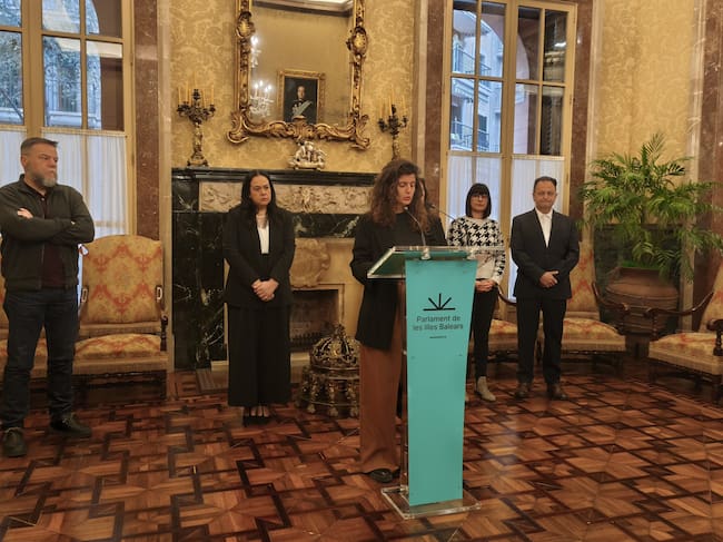 La formació ecosobiranista impulsa un text al qual s’han sumat tots els grups demòcrates de la Cambra