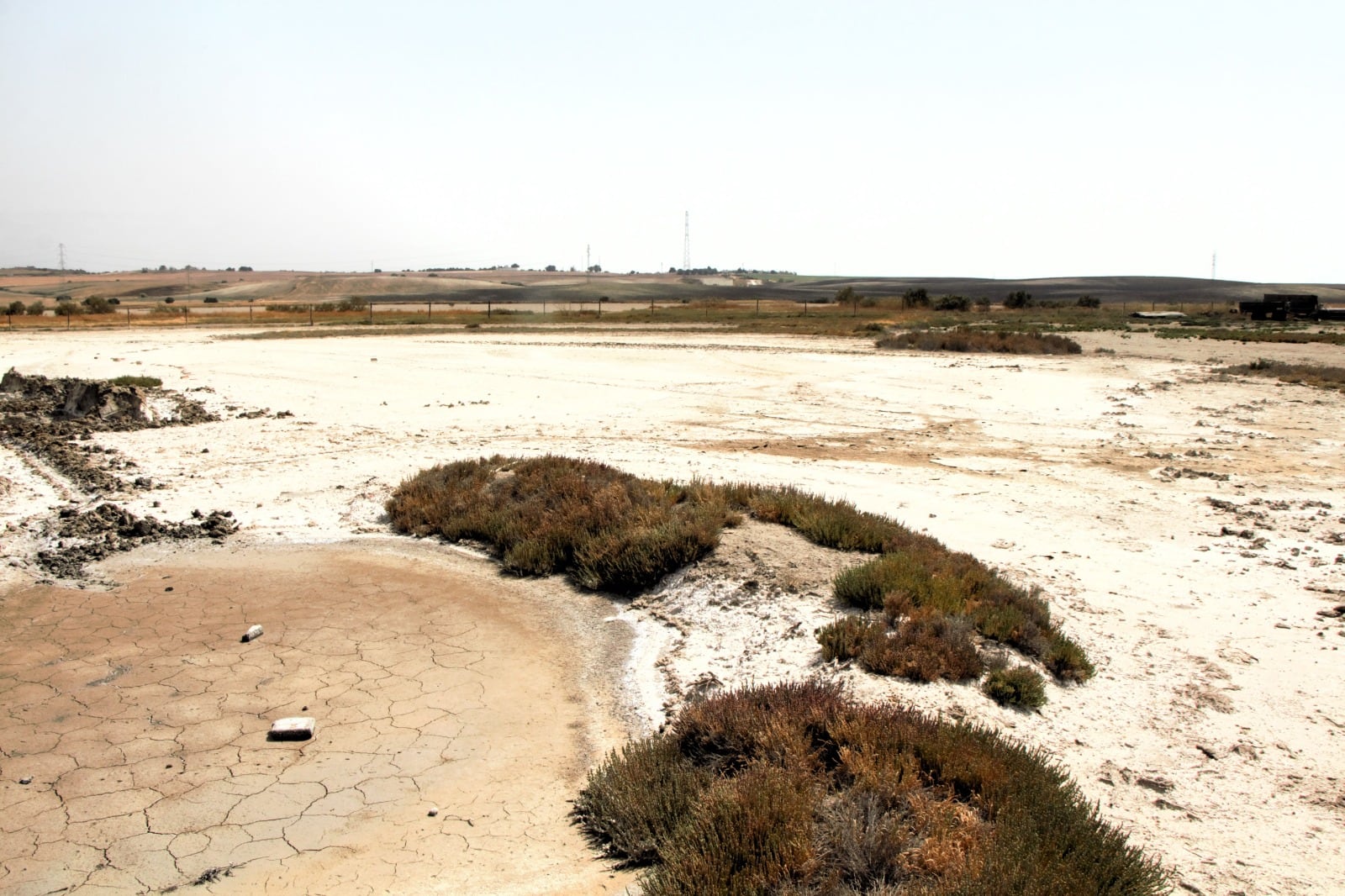 Recorrido por la Carrahola y la laguna de los Tercios en Jerez