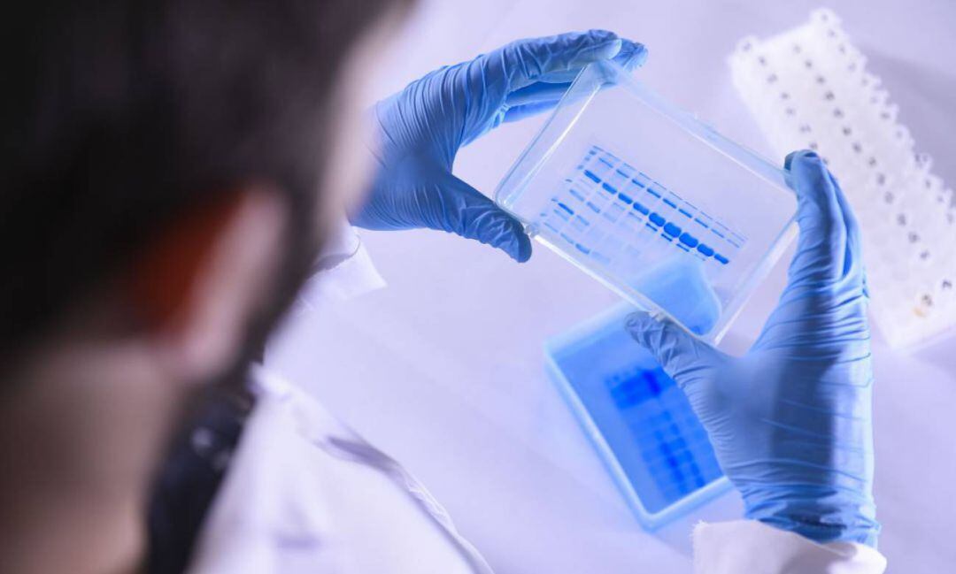 Un fallecimiento y 260 nuevos casos de coronavirus en la provincia de Castellón en las últimas 24 horas