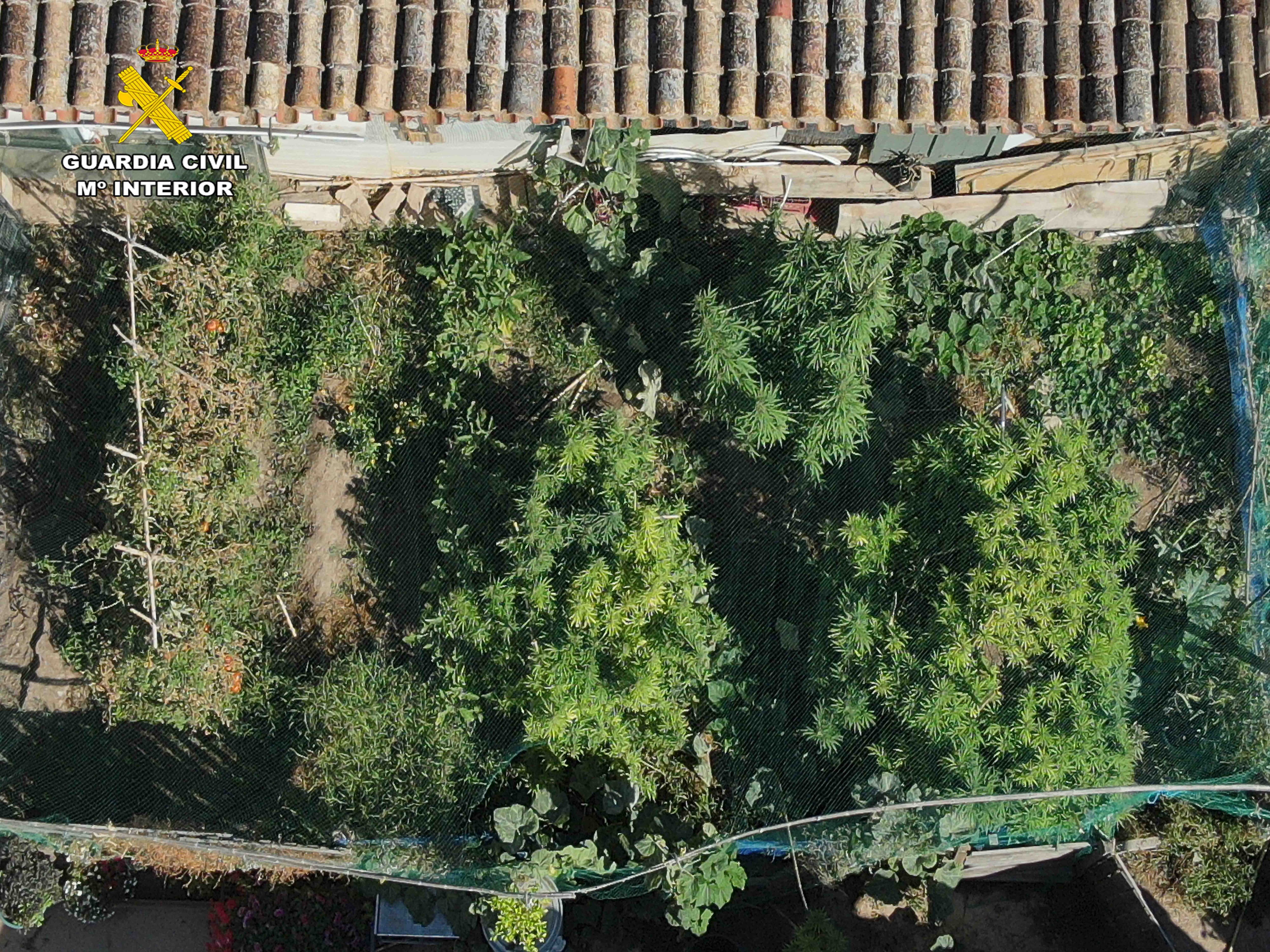 Localizada una vivienda en Arrúbal destinada al cultivo de cannabis