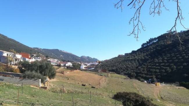 Solana del Pino (Ciudad Real)