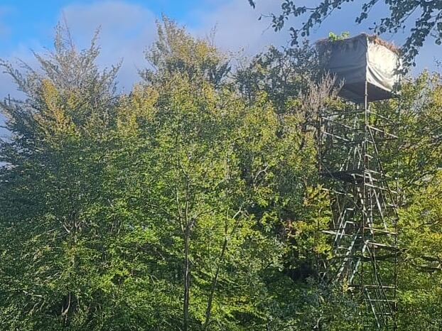 Un varón de 68 años ha fallecido la mañana del miércoles tras caer de en una palomera en Olazagutía, en la zona de Urquieta.