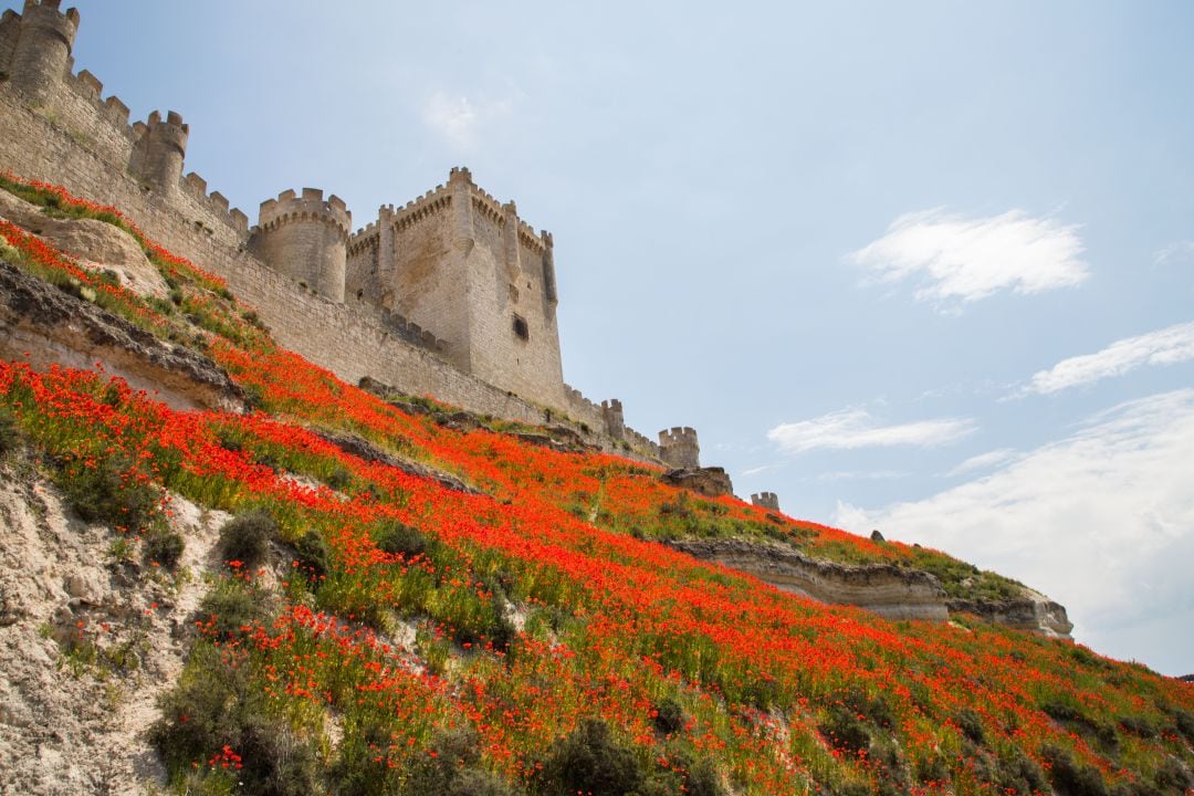 Castillo de Peñafiel, sede del Museo del Vino