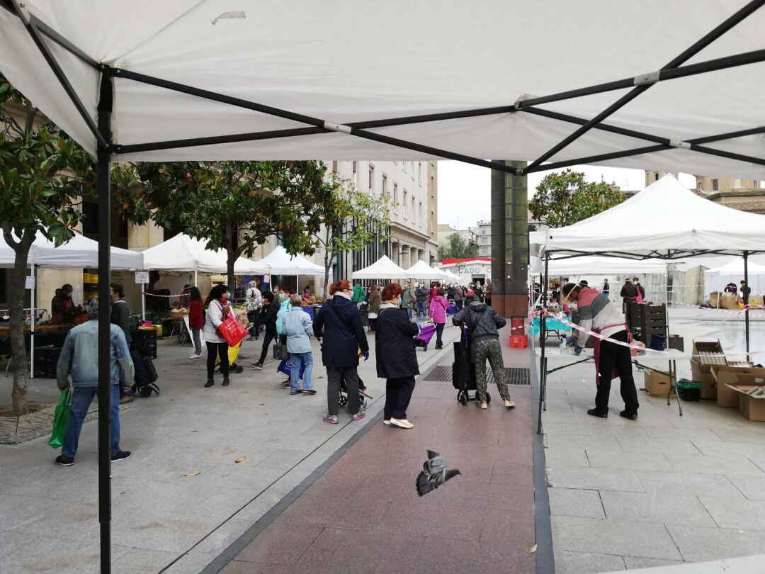 Reapertura de la muestra agroecológica de Zaragoza