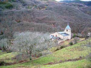 MOnasterio de San Pedro de Montes