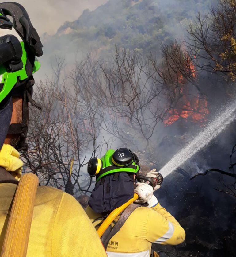 Efectivos actuando este sábado en el incendio entre Casares y Estepona