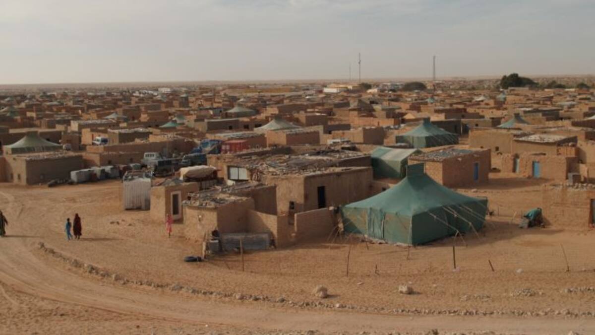 El caso de Darya viaja a Tinduf