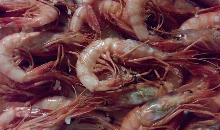 Gamba rayada de Denia, una de las delicatessen de la Comunitat Valenciana