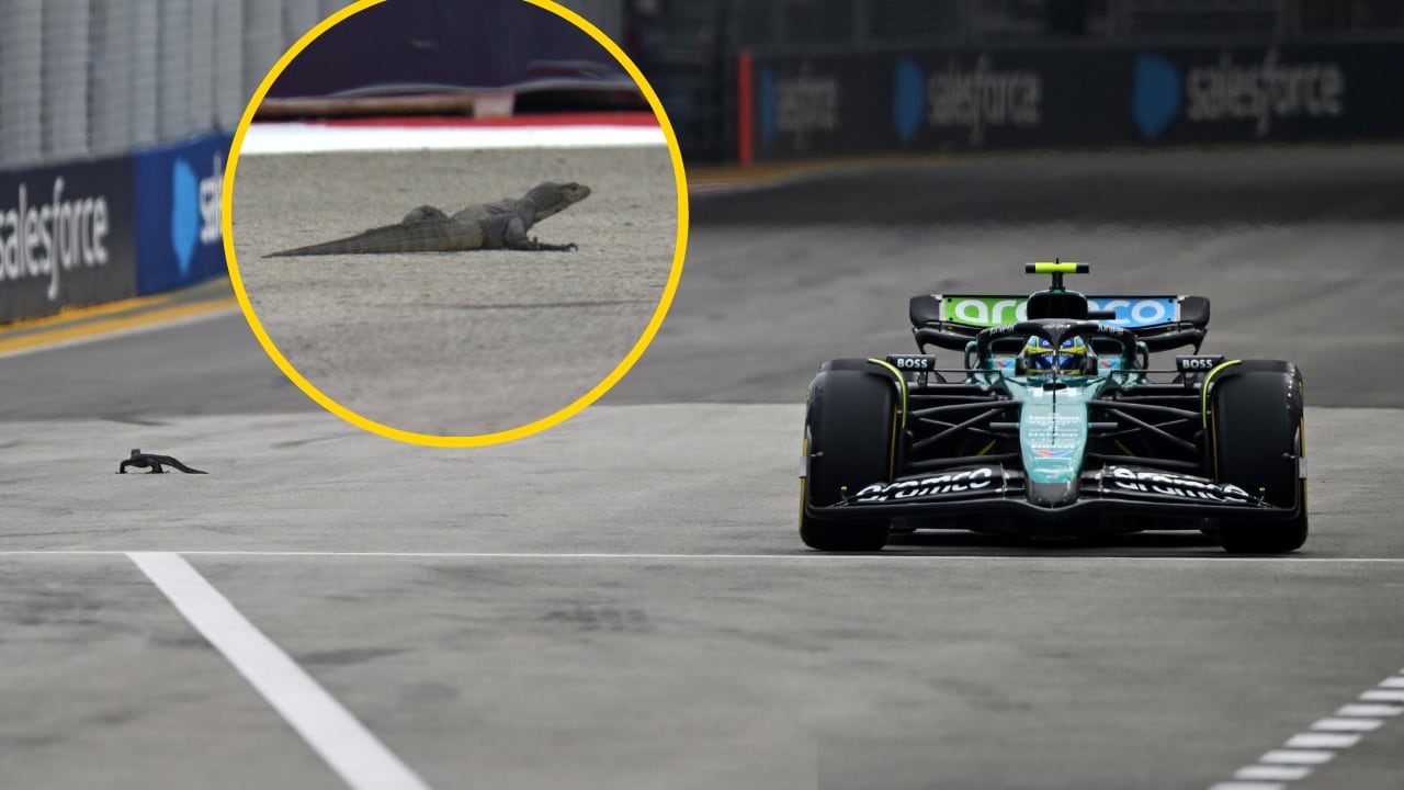 Fernando Alonso esquiva a un lagarto en mitad de la pista del GP de Singapur