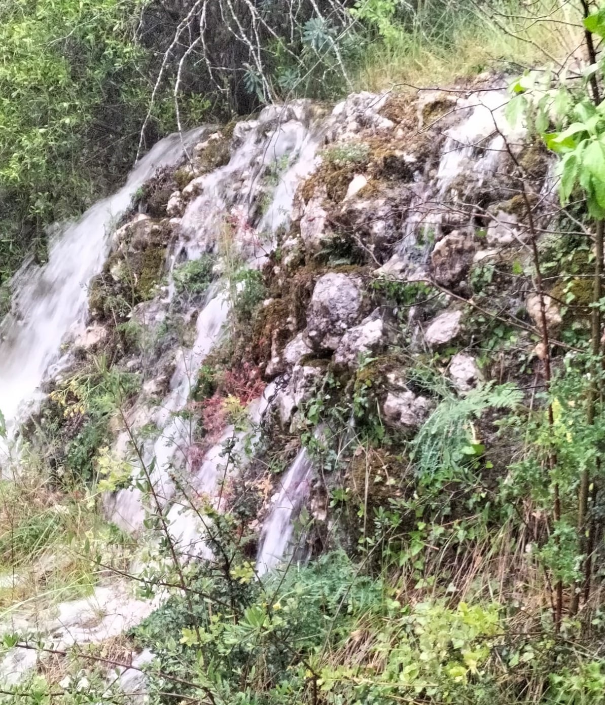 Zona de la Vall d&#039;Alcalà.