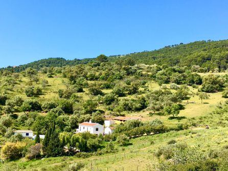 Enclave de Cortijo Arroyo del Moro en las sierra de Gaucín.