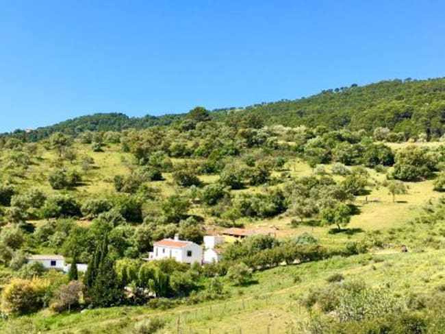 Enclave de Cortijo Arroyo del Moro en las sierra de Gaucín.