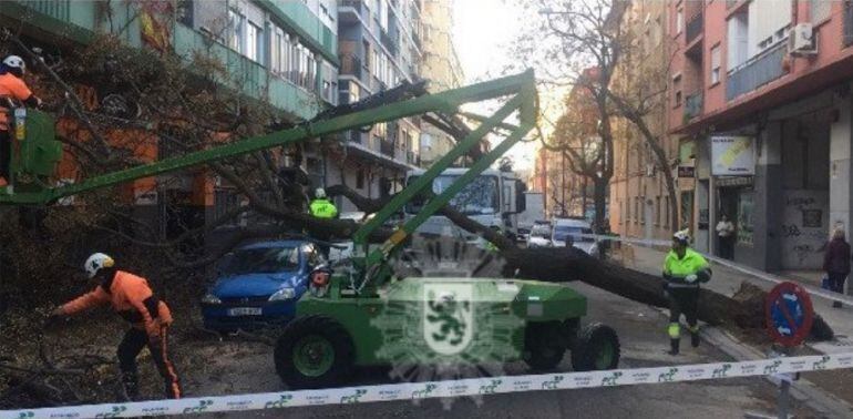 Trabajos para despejar la calle Escultor Palao