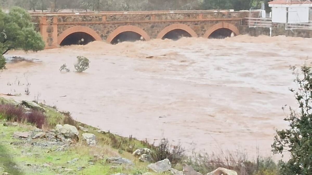 Jaraíz (17/12/2022)