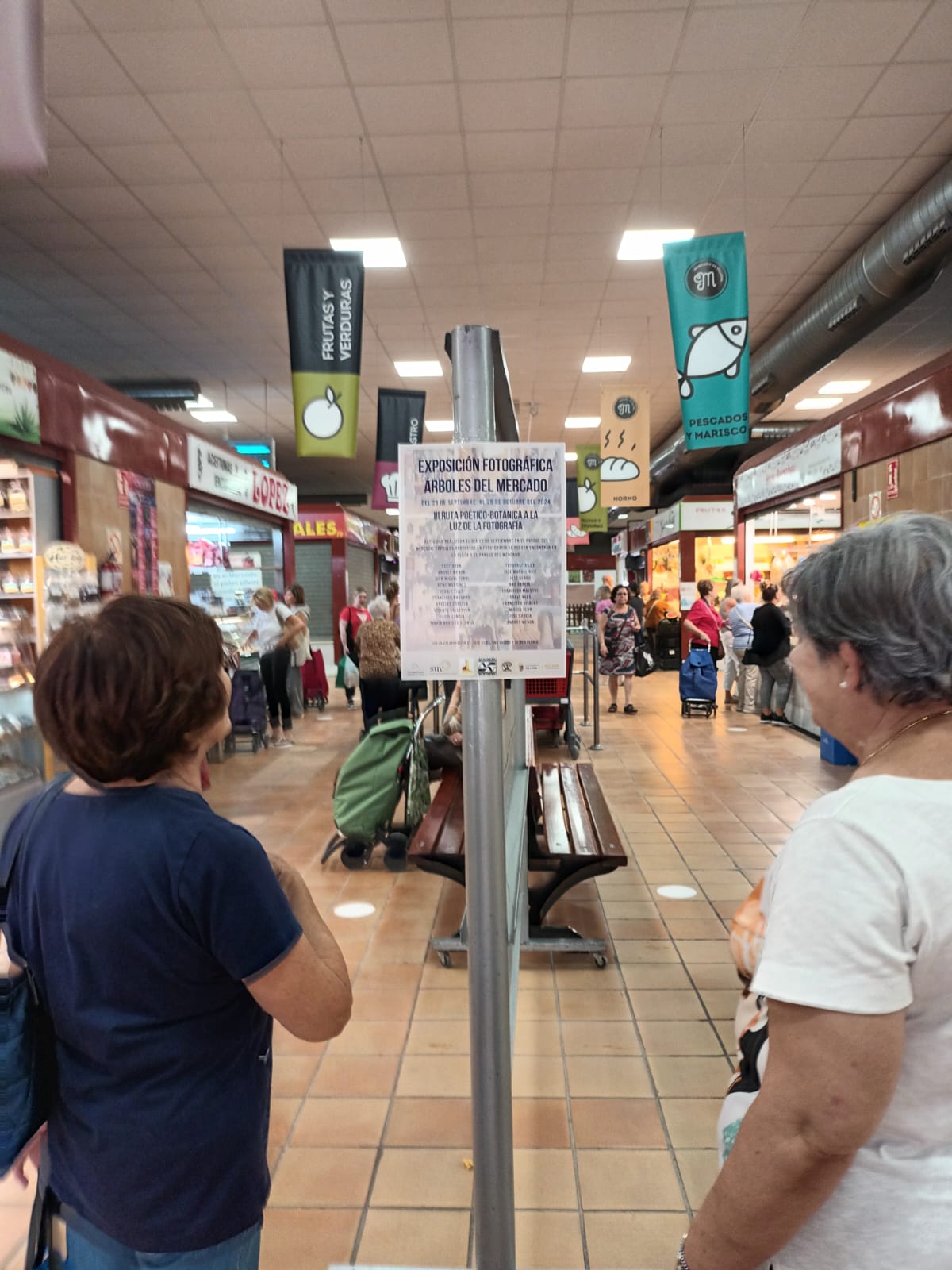 Exposición Arboles del Mercado