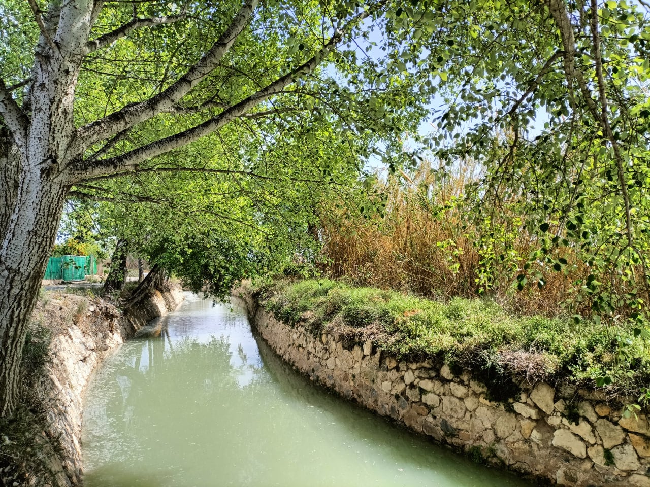 Una de las acequias de la huerta de Murcia