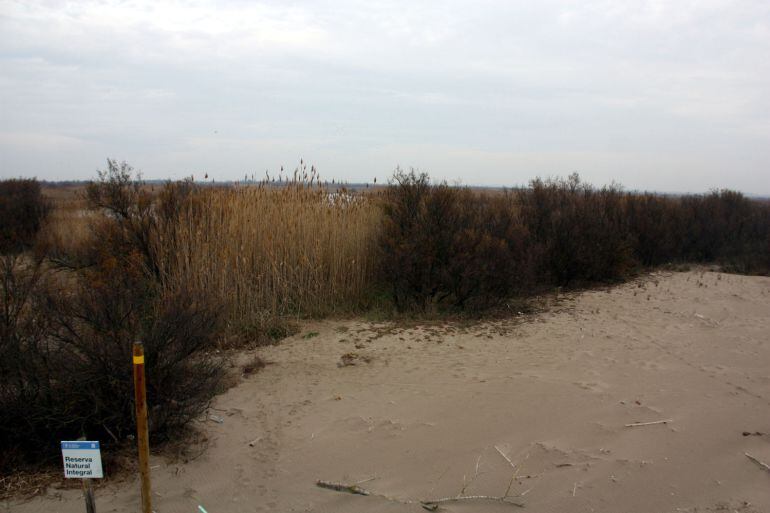Imatge d'arxiu del Parc Natural dels Aiguamolls de l'Empordà