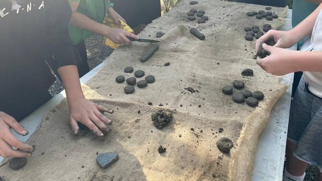Bombas de semillas elaboradas por escolares en Málaga