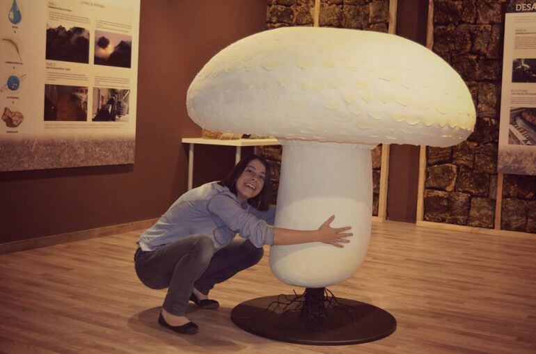 "Ahora lo que se lleva es el turismo de experiencias".