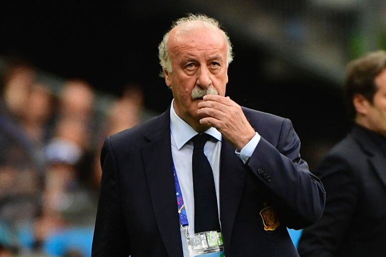 Vicente del Bosque en la Eurocopa 2016