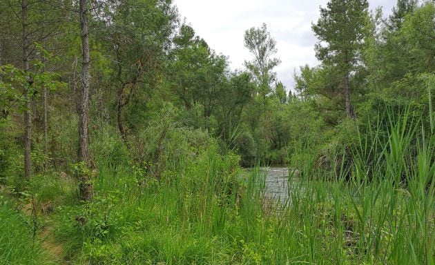 Río Júcar en el paraje del Chantre.