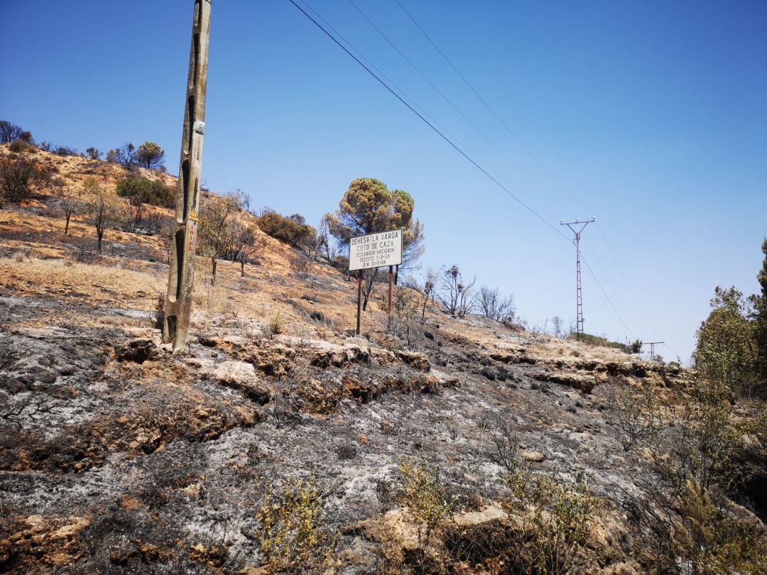 Incendio en El Picazo