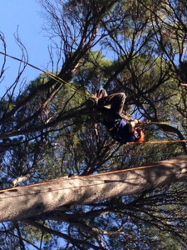 Un dels participants en una de les proves del campionat