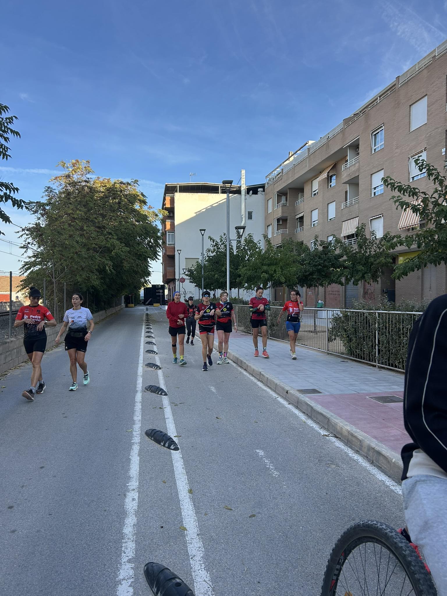 Media alternativa 2025